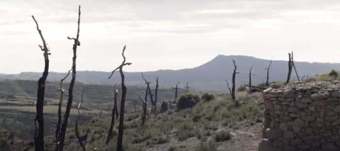 WhatsApp Image 2024-12-04 at 21.48.46 WhatsApp Image 2024-12-04 at 21.48.46